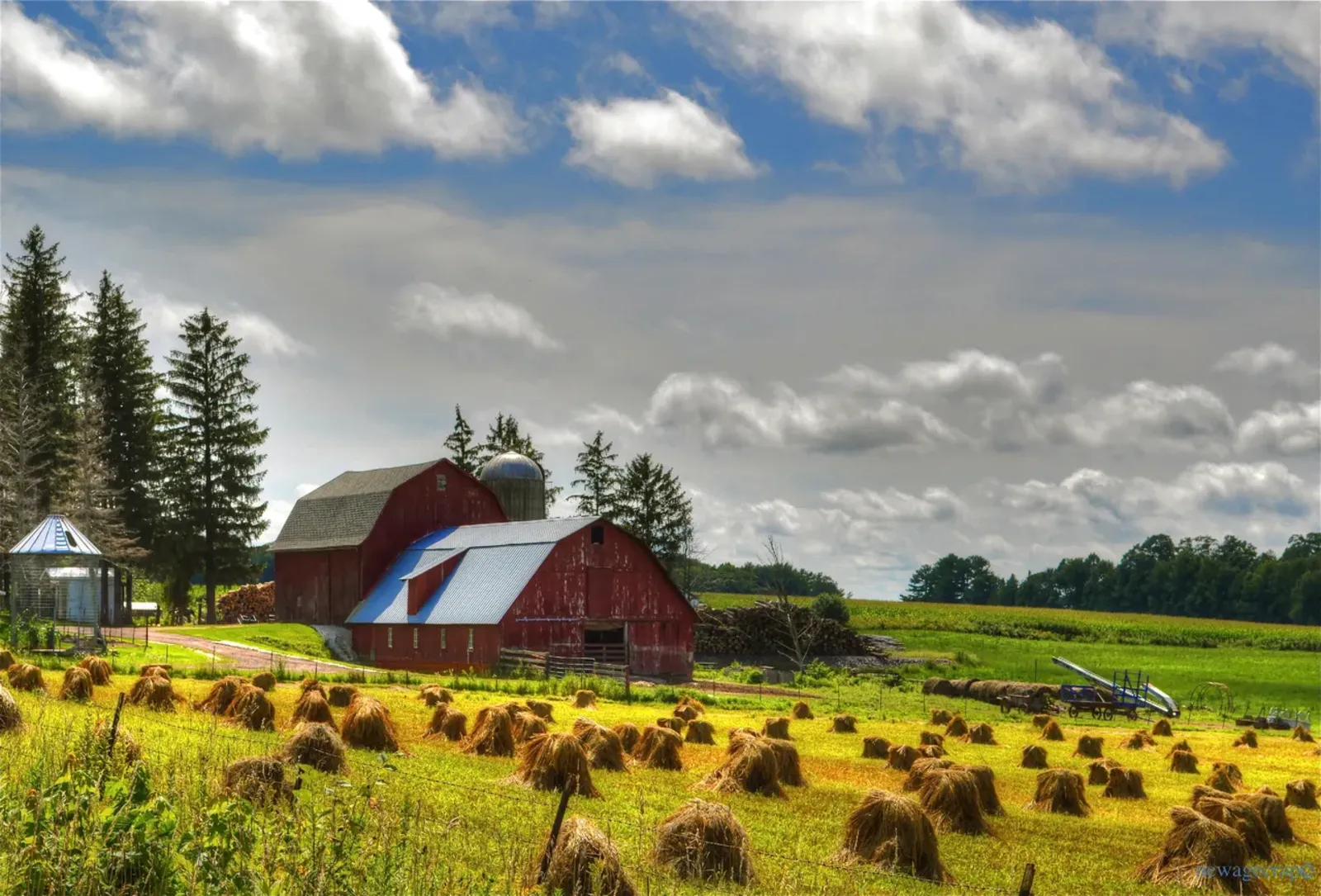 Our farm