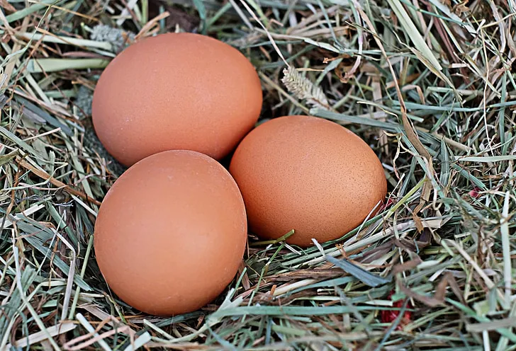 Desi Eggs