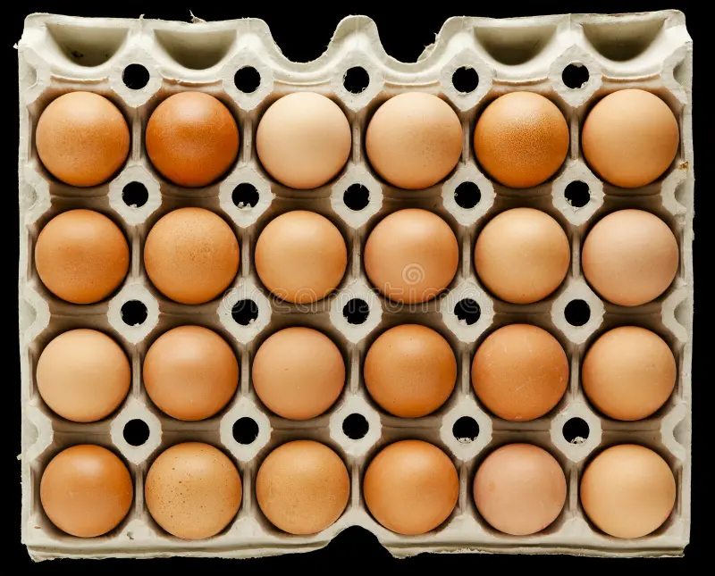 Double Dozen
